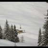 20060307_036